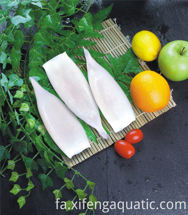 ماهی مرکب ایلکس Illex Squid